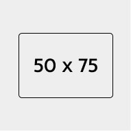 50/75 - <span class="woocommerce-Price-amount amount"><bdi>305.00<span class="woocommerce-Price-currencySymbol">₪</span></bdi></span>